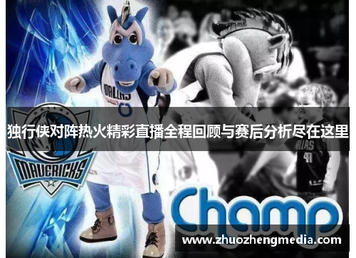 独行侠对阵热火精彩直播全程回顾与赛后分析尽在这里